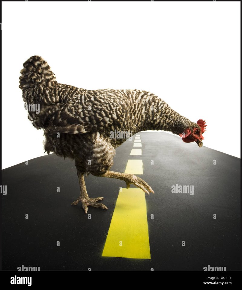 A look at chicken road 2 danmark