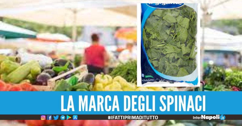 Spinbara login - Scopri Tutti i Segreti di Spinbara Casino Online in Italia